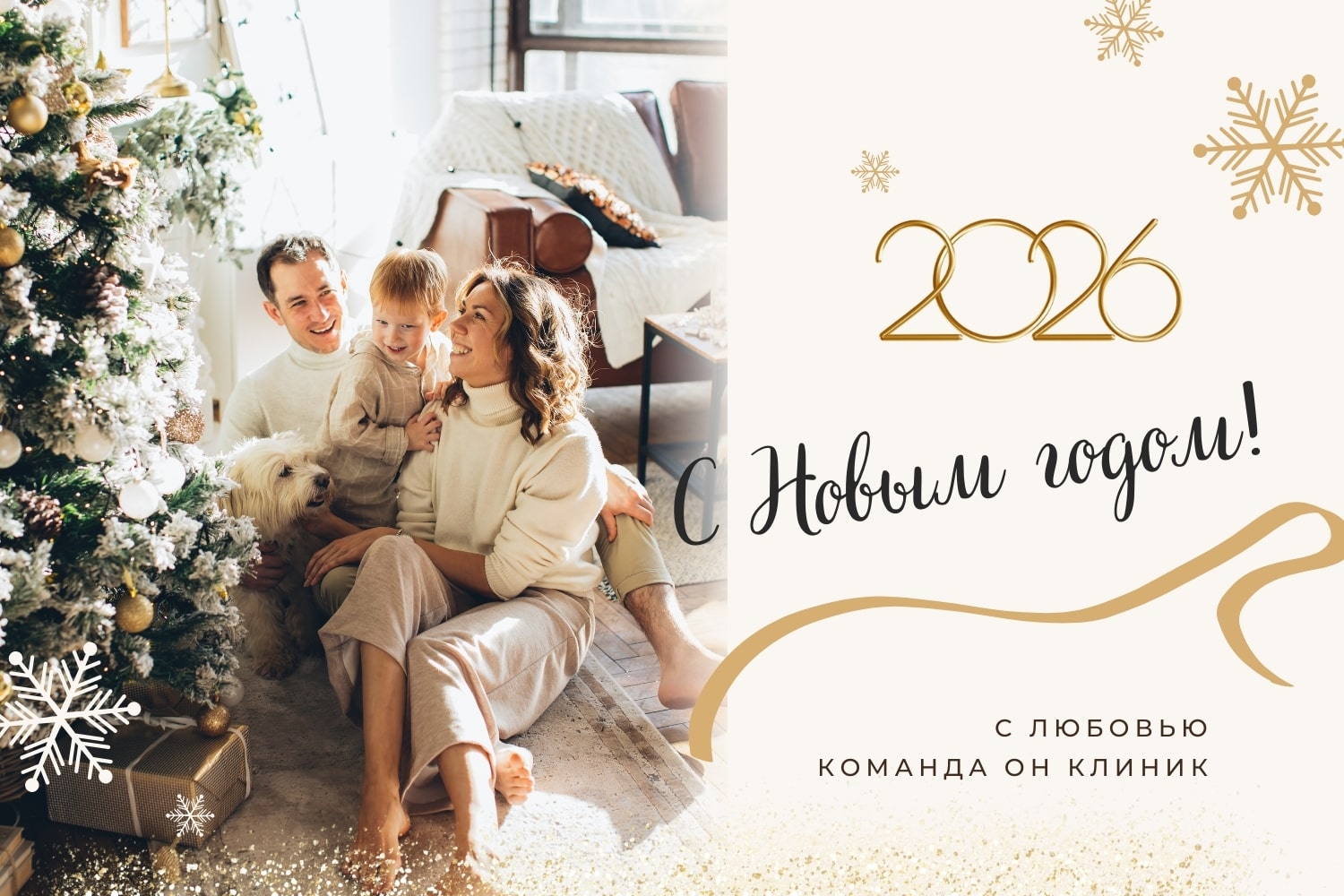 с наступающими Новым 2026 годом и Рождеством!