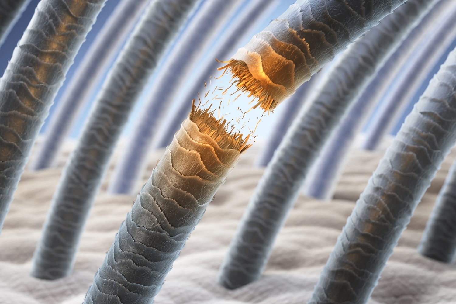 Ломкость волос